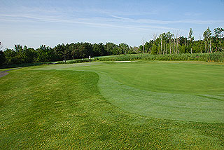Devils Ridge Golf Club | Michigan golf course