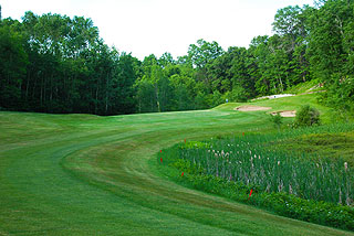 Fox Run Country Club | Michigan golf course