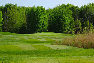 Oak Ridge Golf Club - Marsh Oaks