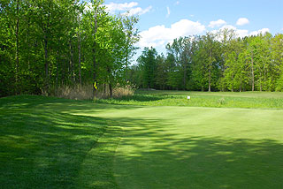 Oak Ridge Golf Club - Marsh Oaks