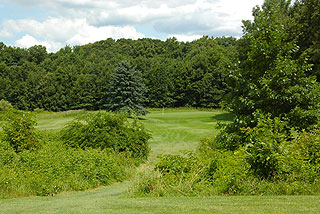 Mulberry Hills Golf Club | Michigan golf course