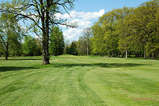 Old Oaks at Oakridge Golf Club | Michigan golf course