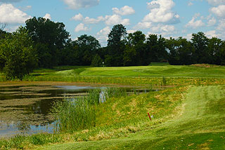 Pheasant Run Golf Club | Michigan golf course