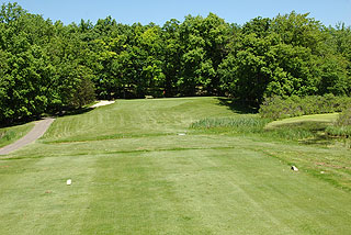 Tyrone Hills Golf Course - Michigan golf course