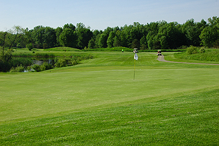 The Links at Whitmore Lake | Michigan golf course