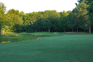 Maple Leaf Golf Course - Michigan Golf Course