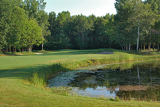 23+ Maple Leaf Golf Course Michigan