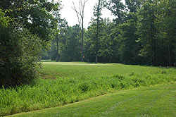 Michigan Meadows Golf Course - Michigan Golf Course