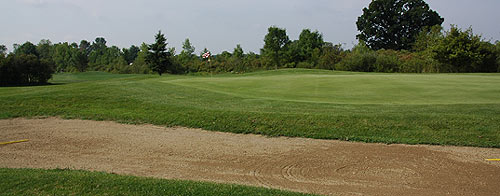 Michigan Meadows Golf Course - Michigan Golf Course