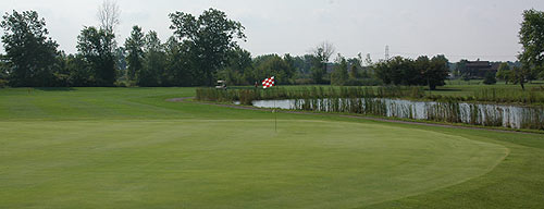 Michigan Meadows Golf Course - Michigan Golf Course