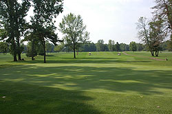 Michigan Meadows Golf Course - Michigan Golf Course