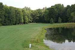 Michigan Meadows Golf Course - Michigan Golf Course