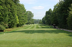 Michigan Meadows Golf Course - Michigan Golf Course