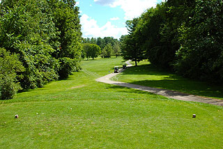 Pine View Golf Course - Michigan Golf Course