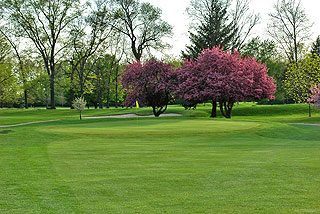 Ella Sharp Park Golf Course - Michigan Golf