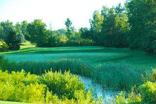 Sugarbush Golf Club | Michigan golf course