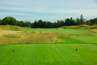 Sweetgrass Golf Club - Michigan golf